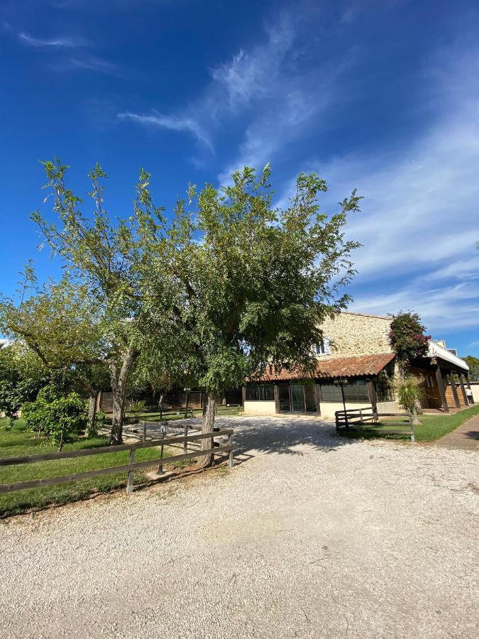 Studio 2 Personnes Vue Marais Salant Parking Et Terrasse Proche Commodite Hyères Dış mekan fotoğraf